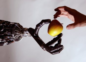 Rockford highschool students compete in a battle of robots