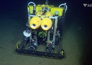 Autonomous Robotic Rover Provides New Insight Into Life on the Deep Abyssal Seafloor