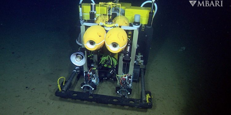 Autonomous Robotic Rover Provides New Insight Into Life on the Deep Abyssal Seafloor