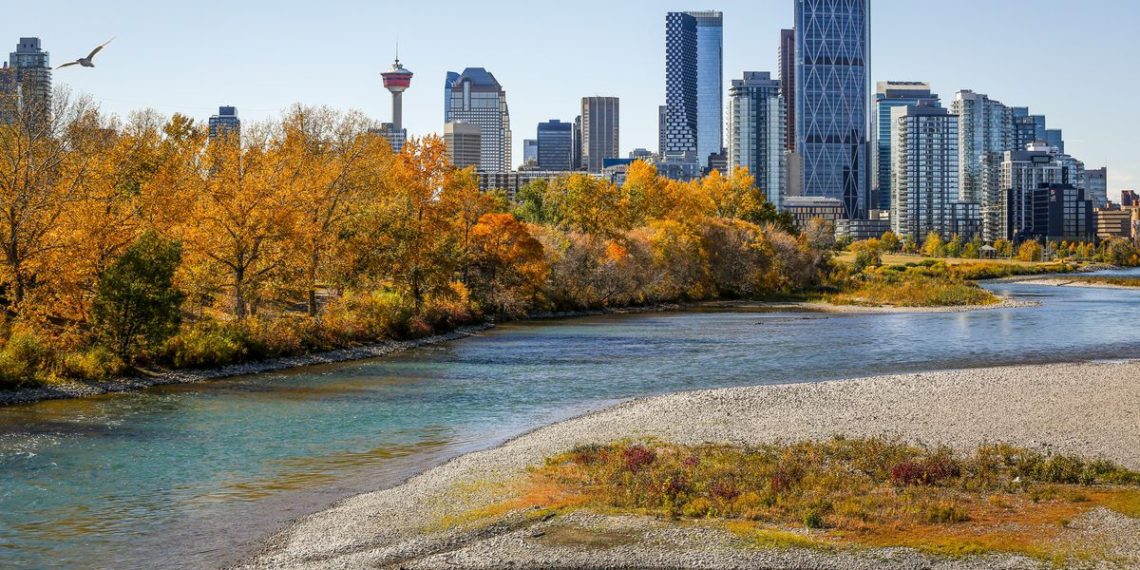 Calgary to invest in venture capital fund aimed at growing tech sector