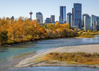 Calgary to invest in venture capital fund aimed at growing tech sector