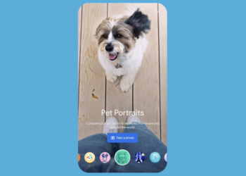 Google’s Pet Portraits lets you find art look-alikes for your furry friend