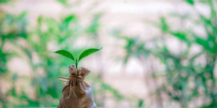 Xponents raises $1.56 mn in Seed funding from UAE-based venture capitalist