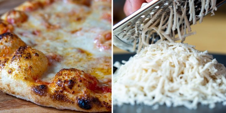 Startup New Culture Raises $25 Million to “Make Cow Cheese Without the Cow” 