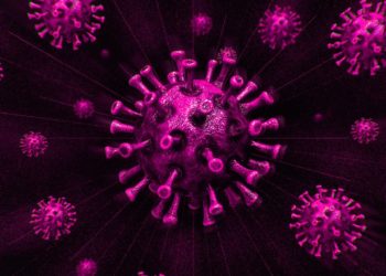 Pfizer says its antiviral pill reduces hospitalizations and deaths from COVID-19