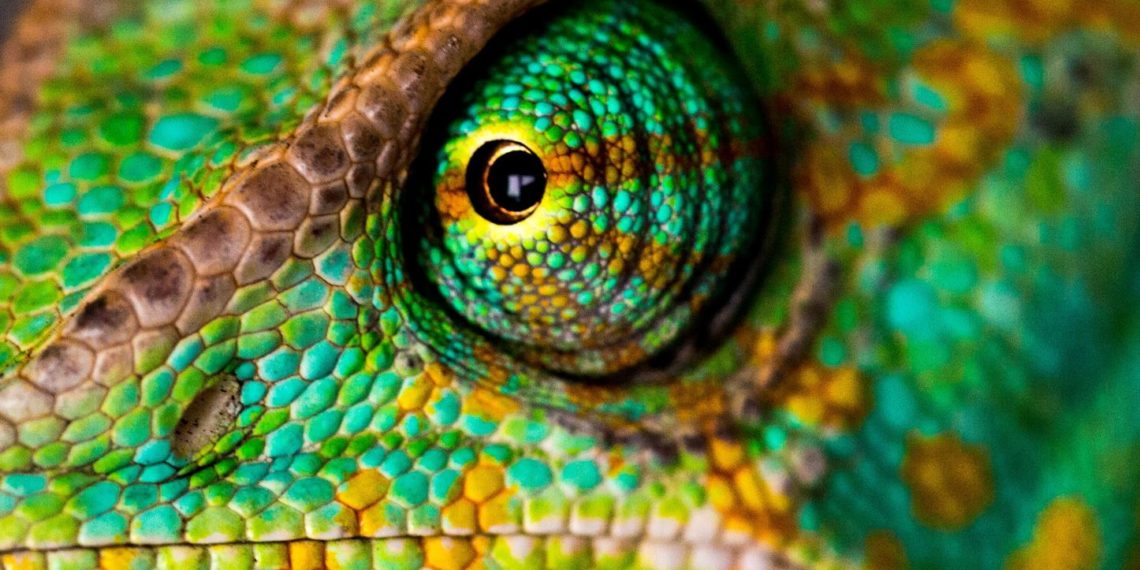 Everyone’s hiring fintech bankers. Here’s how to become one