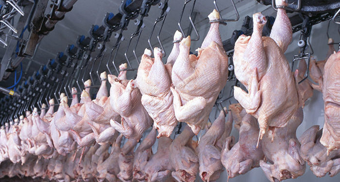 How will the robot revolution transform poultry processing?
