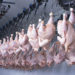 How will the robot revolution transform poultry processing?