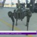 Robotic canine aiming to keep officer’s safe