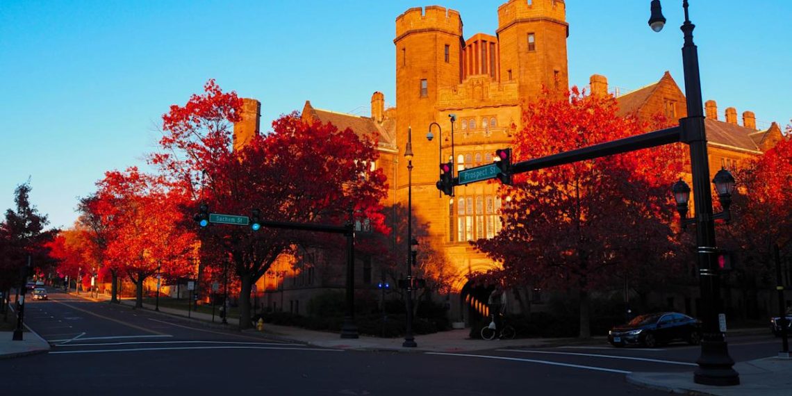 VCs and university endowments should partner to make venture more diverse