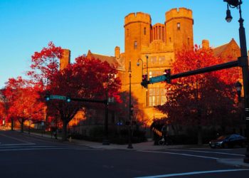 VCs and university endowments should partner to make venture more diverse