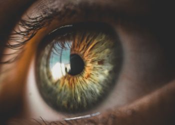 Optina Diagnostics nabs Boehringer’s support in $20M VC round for retina-based Alzheimer’s test