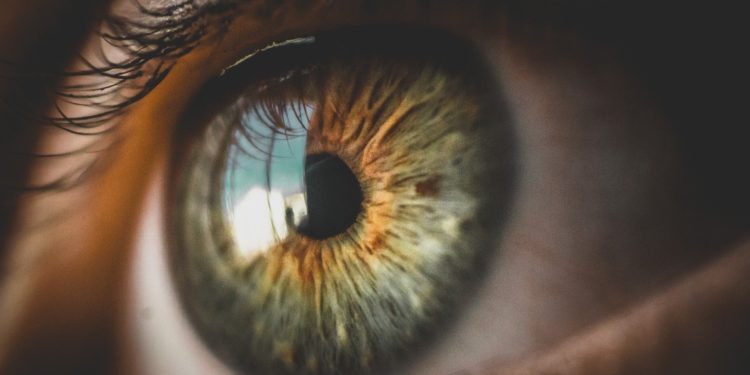 Optina Diagnostics nabs Boehringer’s support in $20M VC round for retina-based Alzheimer’s test