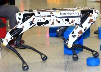 New robotic dog at Telus Spark leading kids to science and technology