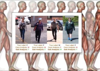 Determining Gender Through Walking Styles With Machine Learning