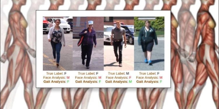 Determining Gender Through Walking Styles With Machine Learning
