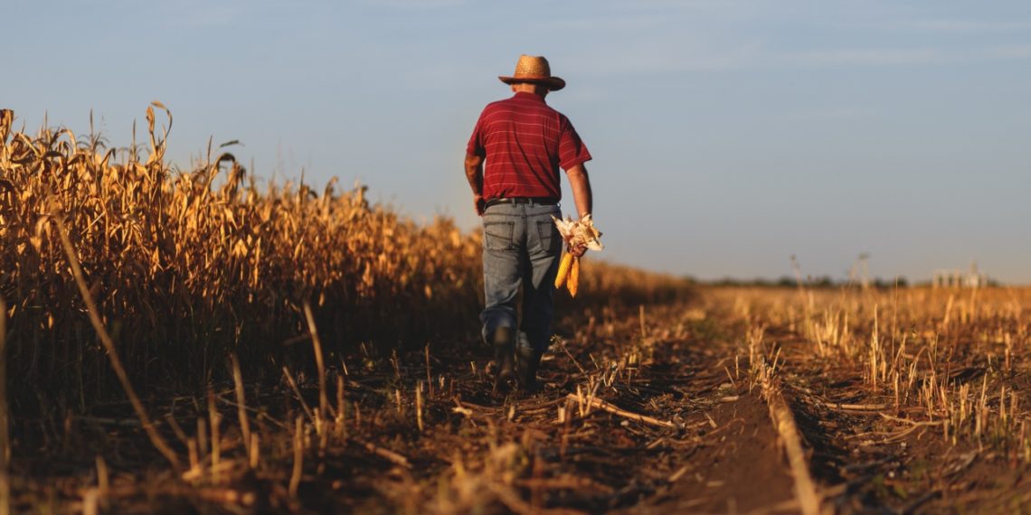 Farm robot kills 100,000 weeds an hour
