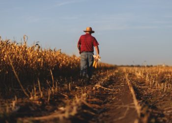 Farm robot kills 100,000 weeds an hour