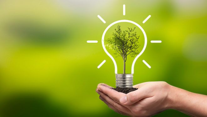 In Pioneering Venture, Michigan MBA Students Lead Climate Investment Fund