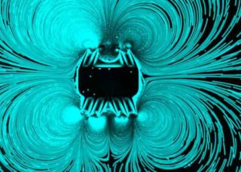 These tiny robots inspired by starfish larva move courtesy of ultrasound – TechCrunch