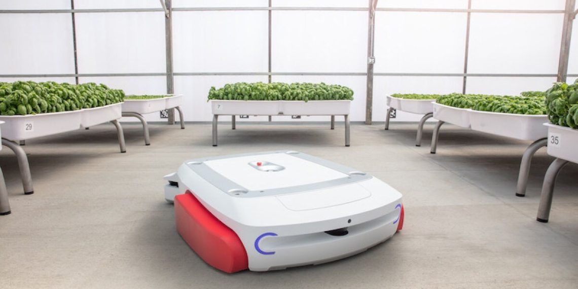 Grover robot does the heavy lifting in high-tech greenhouses