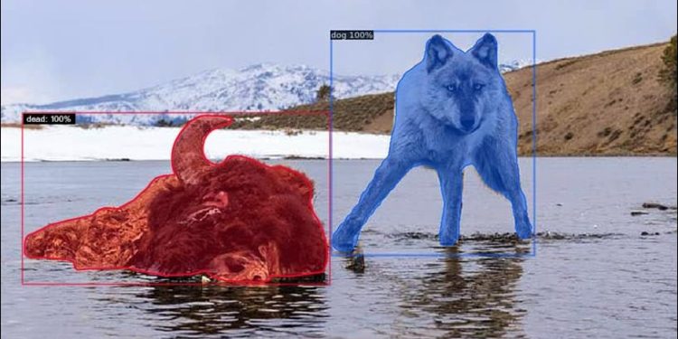 Current AI Practices Could Be Enabling a New Generation of Copyright Trolls