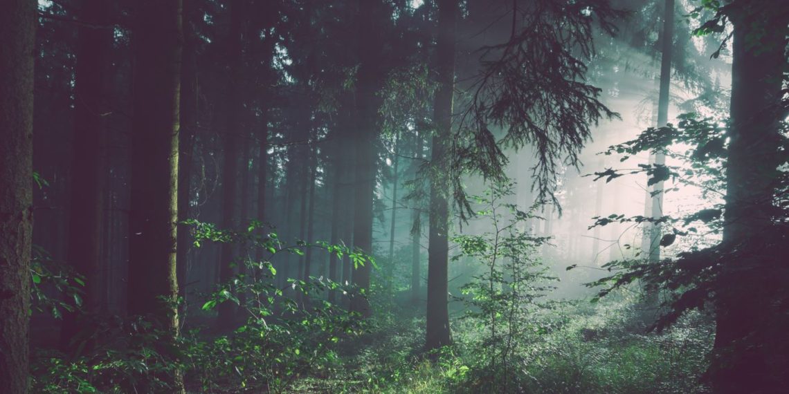 Fintech boss explains why he won’t hire developers from banks