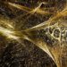 Innovative Quantum Chip Overcomes Major Obstacle in Field