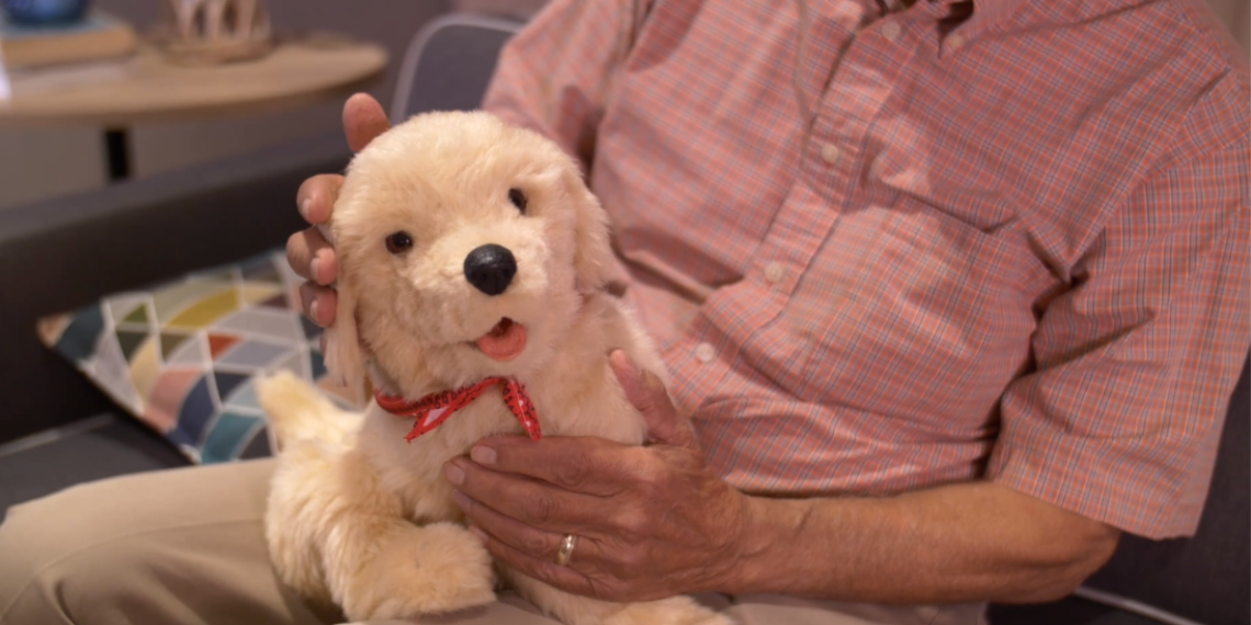 Free robotic companion pets for Veterans with dementia in the DC area