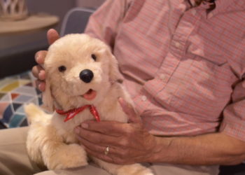 Free robotic companion pets for Veterans with dementia in the DC area