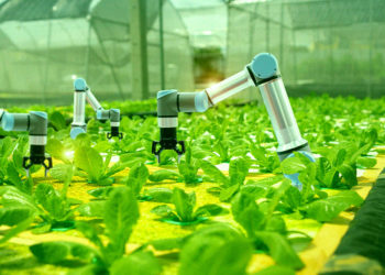 Robotics CEO Says Goal Is to “Remove” Human Labor From Economy