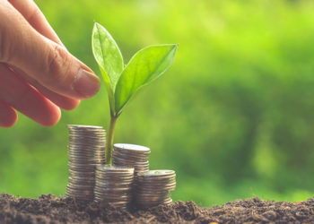 Theia Ventures, Social Alpha invest in Canvaloop Fibre’s Pre-seed round