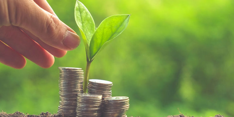 Theia Ventures, Social Alpha invest in Canvaloop Fibre’s Pre-seed round