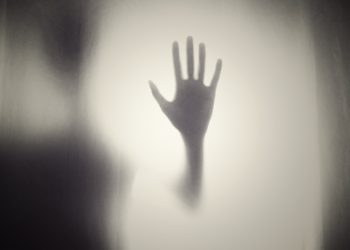 Bots are lurking in your zombie and shadow APIs