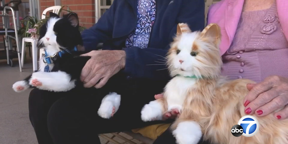 Robo cats and dogs bring comfort to OC seniors