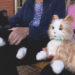 Robo cats and dogs bring comfort to OC seniors