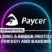 German Fintech Startup Paycer to Combine DeFi, Crypto with Conventional Banking Services