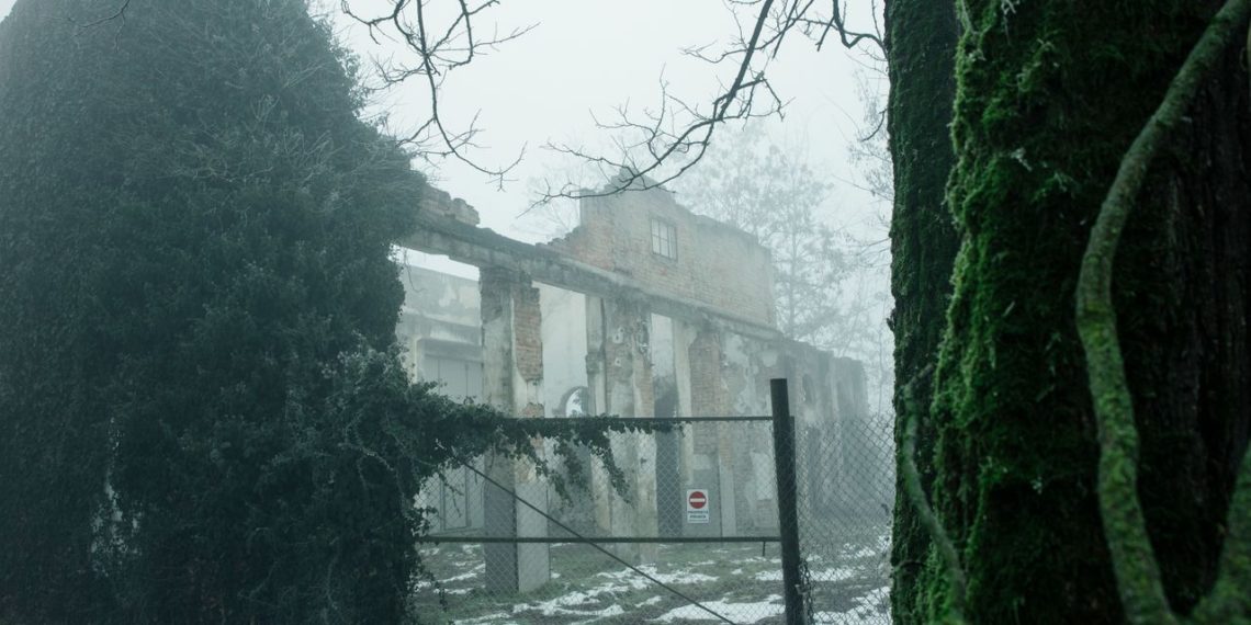 Italian Tech Startup Revives Einstein’s Father’s Power Plant