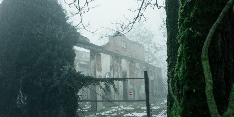 Italian Tech Startup Revives Einstein’s Father’s Power Plant