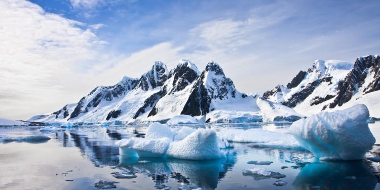 Lessons On Startup Leadership From An Unexpected Continent