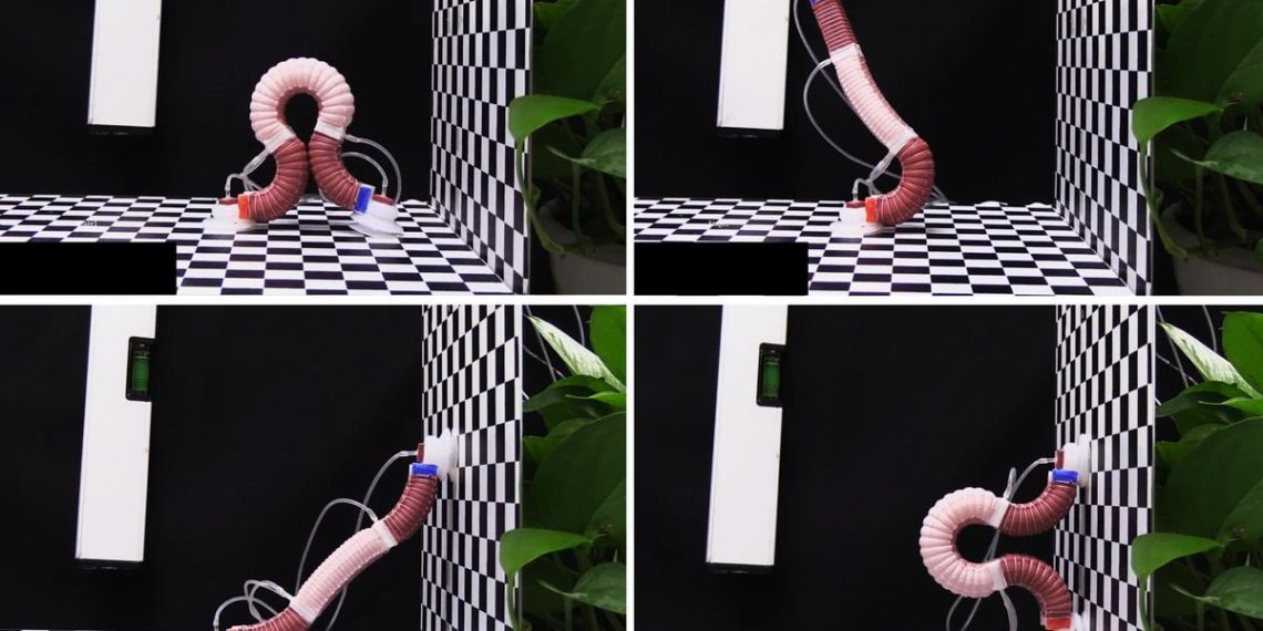 This Robotic Inchworm Just Made It to Higher Ground