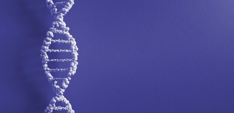 A startup led by Novartis veteran raises $80M to develop gene therapies for the brain