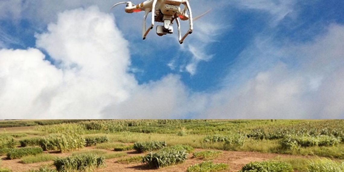 Adaptive swarm robotics could revolutionize smart agriculture | Land & Livestock Post