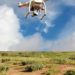 Adaptive swarm robotics could revolutionize smart agriculture | Land & Livestock Post