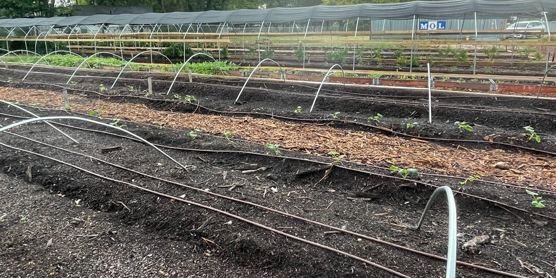 Socialwyze: Dallas startup looks to connect homeless with jobs