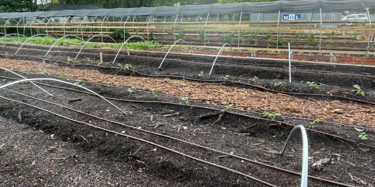 Socialwyze: Dallas startup looks to connect homeless with jobs