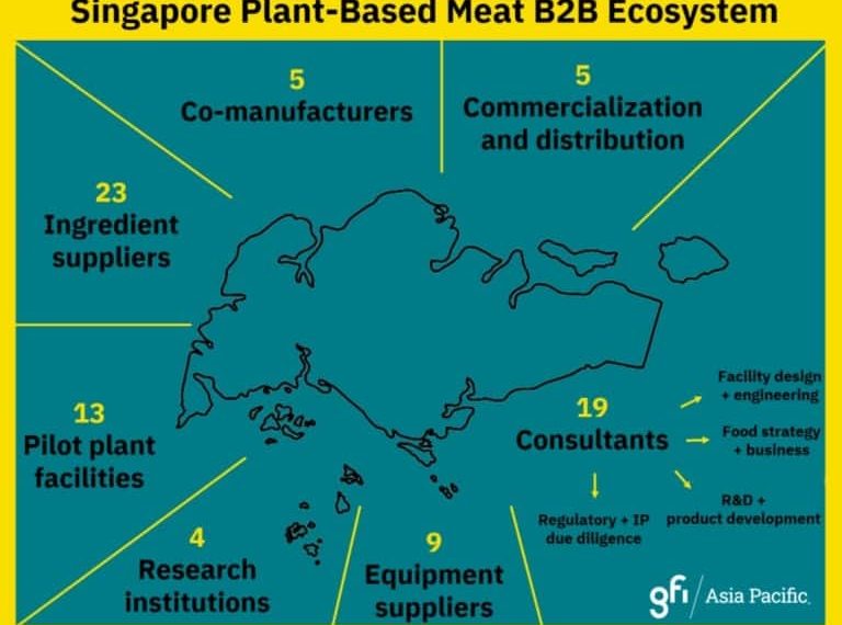 APAC Alternative Protein Ecosystem Database Launches to Facilitate B2B and Startup Connections – vegconomist