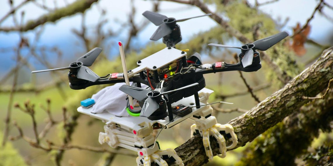 Bird-like robot perches and grasps