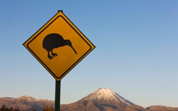 When fundraising, New Zealand startup founders should play the ‘Kiwi card’ – TechCrunch
