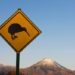 When fundraising, New Zealand startup founders should play the ‘Kiwi card’ – TechCrunch